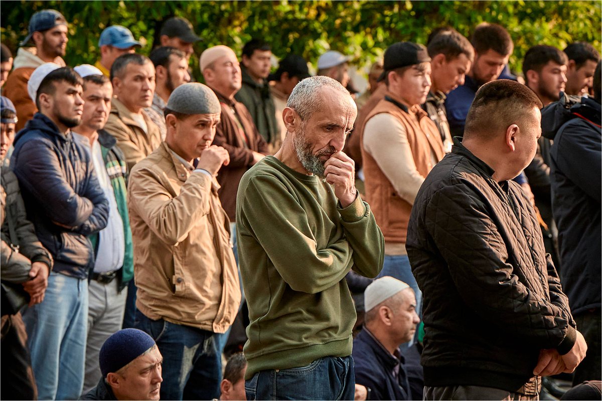 Как снимать на телефон профессиональнее без дорогих приложений