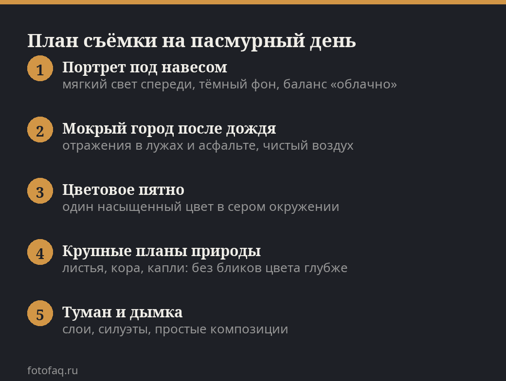 Пять сюжетов для съёмки в пасмурную погоду: портрет под навесом, мокрый город, цветовое пятно, крупные планы, туман
