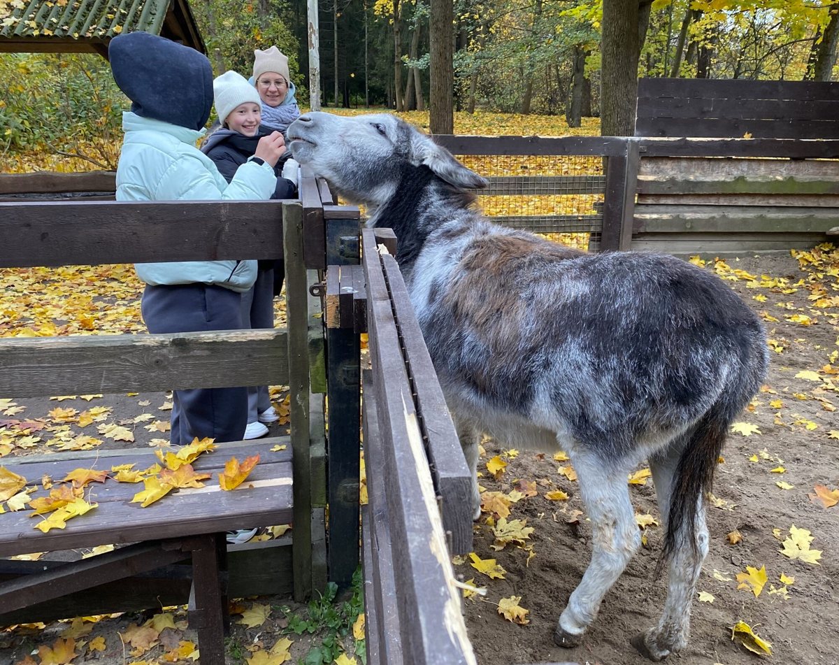 Чему учиться в фотошколе в первую очередь