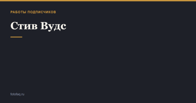 Стив Вудс